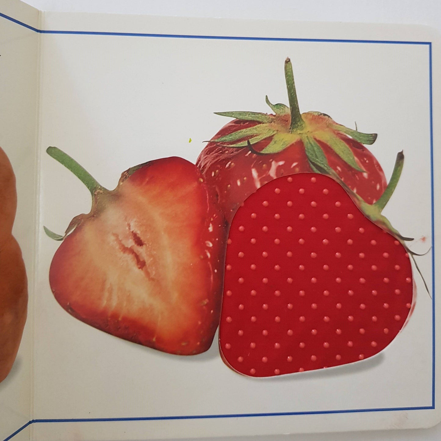 Touch and feel Mealtime Like New Not Applicable (4593185095735)