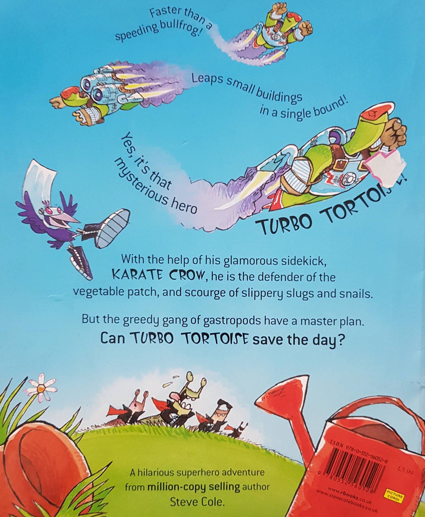 Turbo Tortoise Like New, 3+ Yrs Usborne (6610891636921)