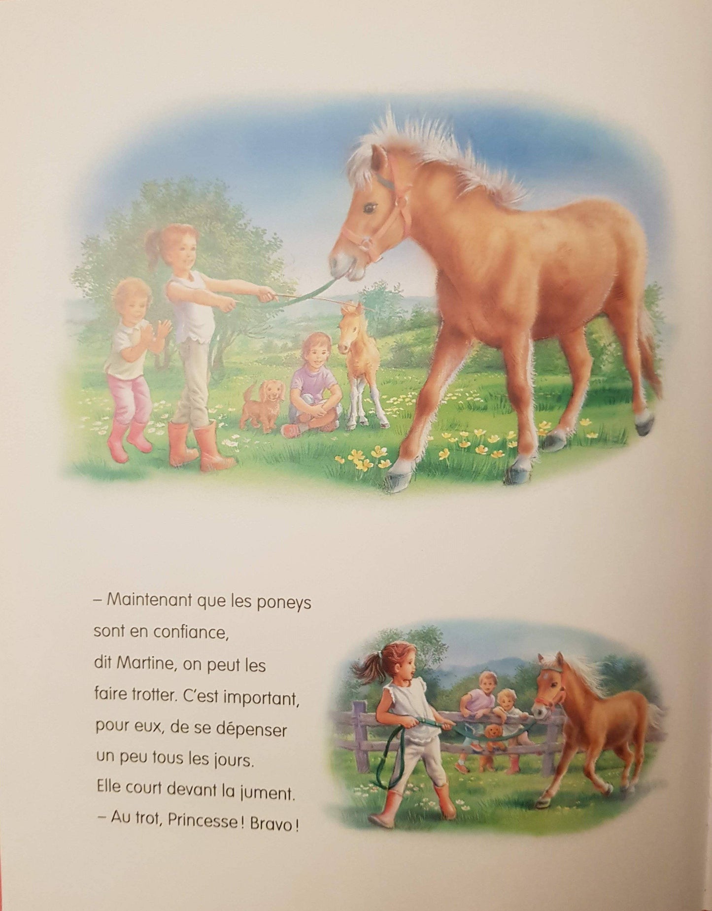 Un Amour de Poney Like New Martine (4617713123383)