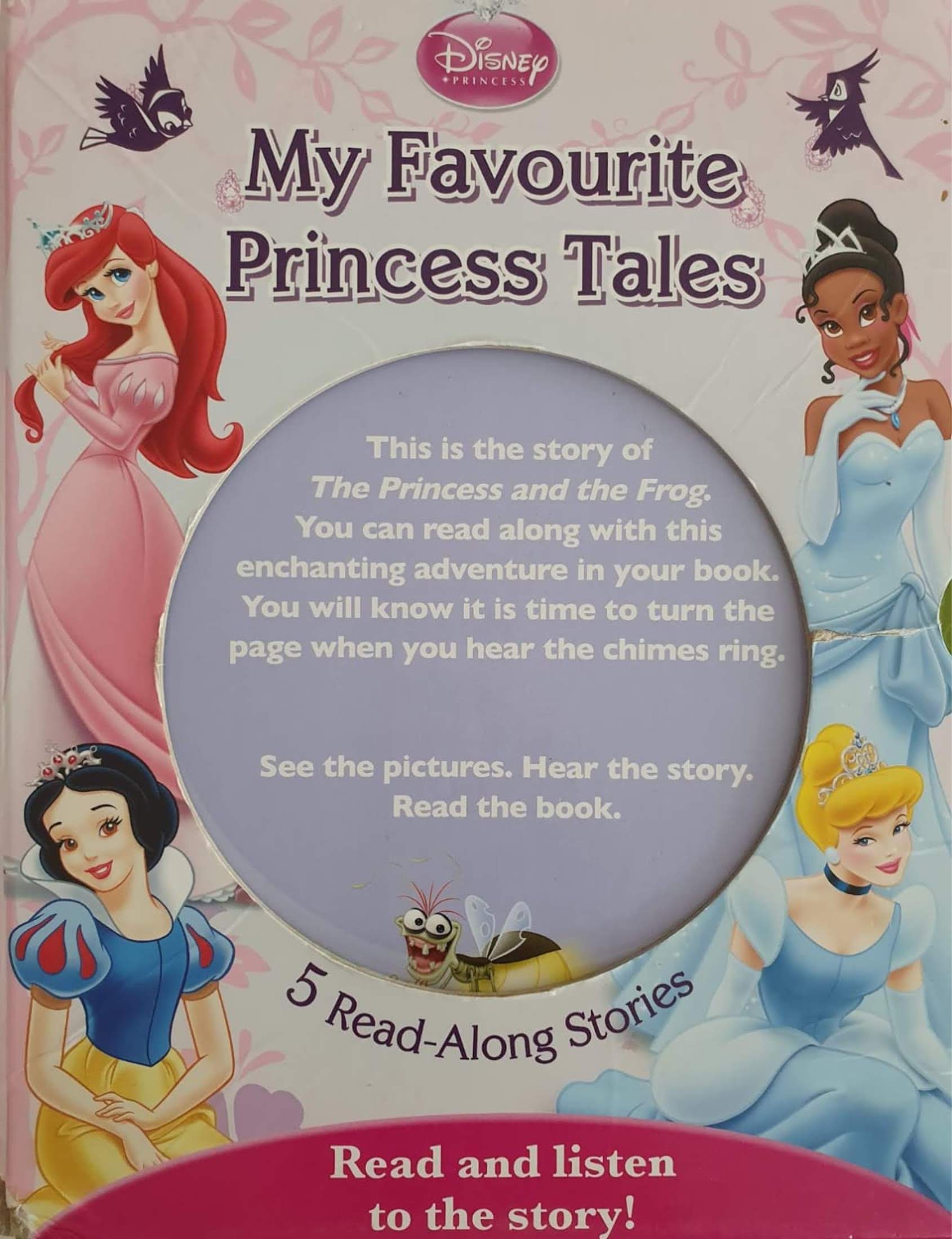 5 Books on Princess Tale Like New Disney  (6097249599673) (8337935302873)
