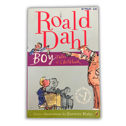 Roald Dahl - Boy tales of childhood (8501043364057)