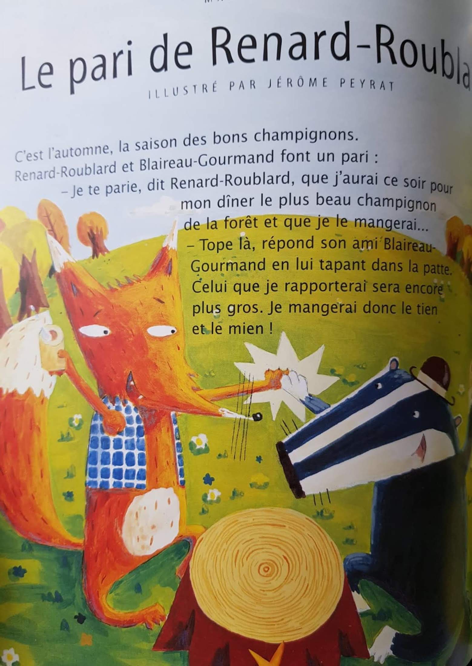 10 histoires d'animaux Like New Recuddles.ch  (6243837771961)