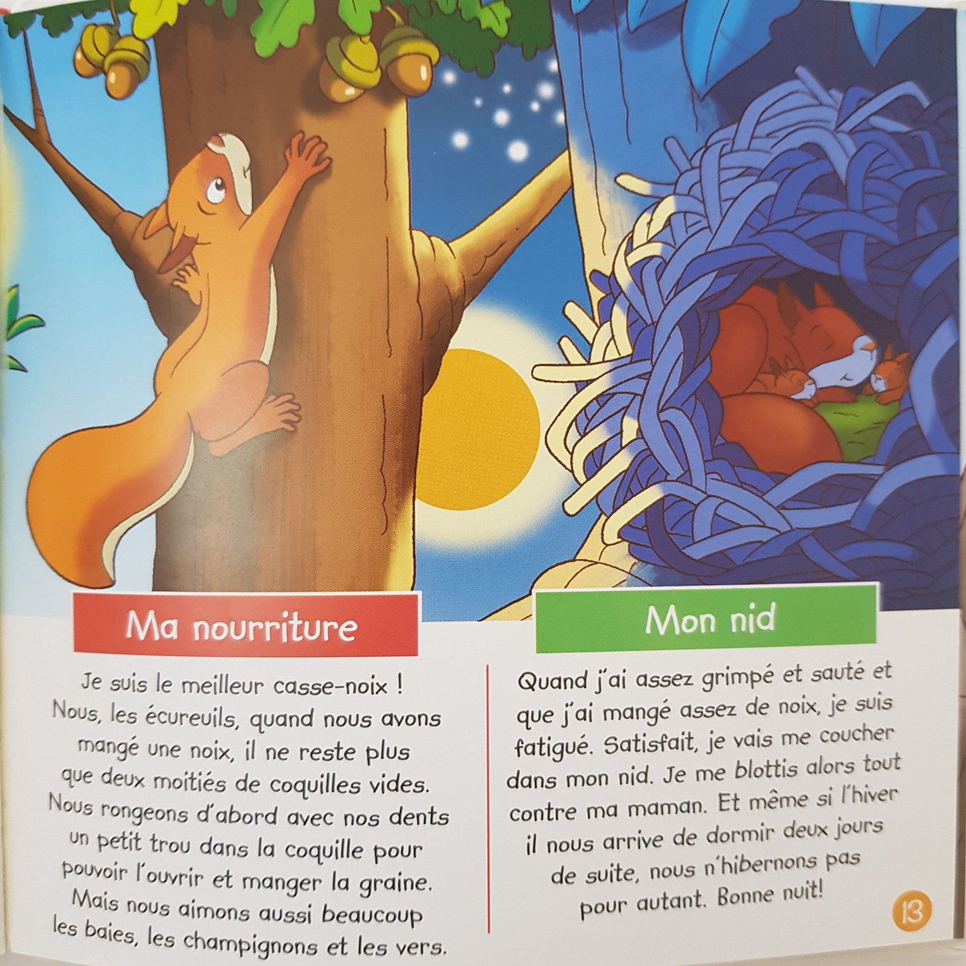 3 Livres: J'habite à l'orée de la forêt, l'écureuil,Je vis dans la forêt l'ours brun,Je vis dans la forêt le cerf Like New Not Applicable  (4593241980983)