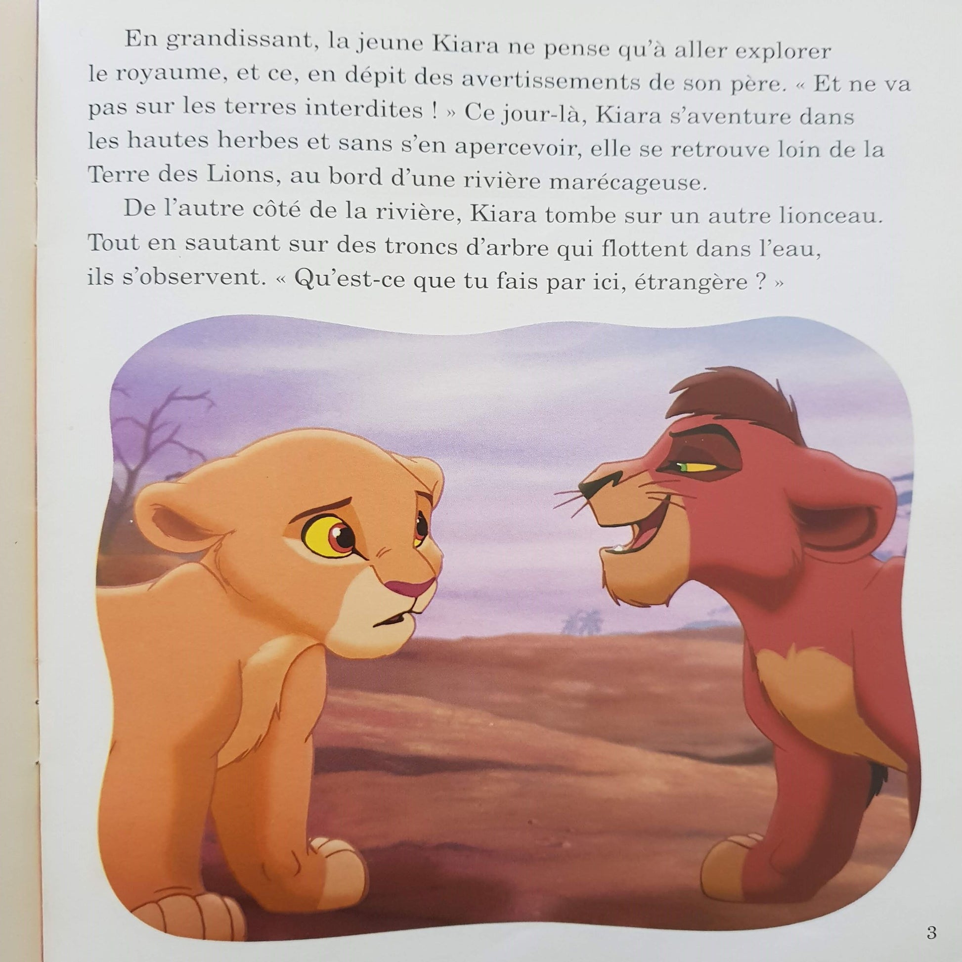3 Livres: Le Roi Lion II l'honneur-de-la-tribu, Robin Des Bois,Le Roi Lion Well Read Disney  (4595510968375)
