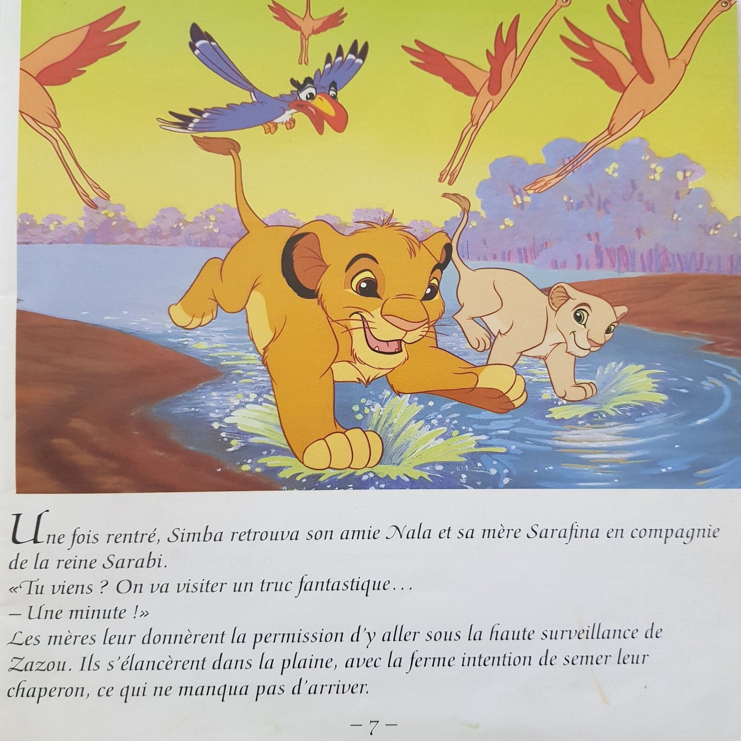 3 Livres: Le Roi Lion II l'honneur-de-la-tribu, Robin Des Bois,Le Roi Lion Well Read Disney  (4595510968375)