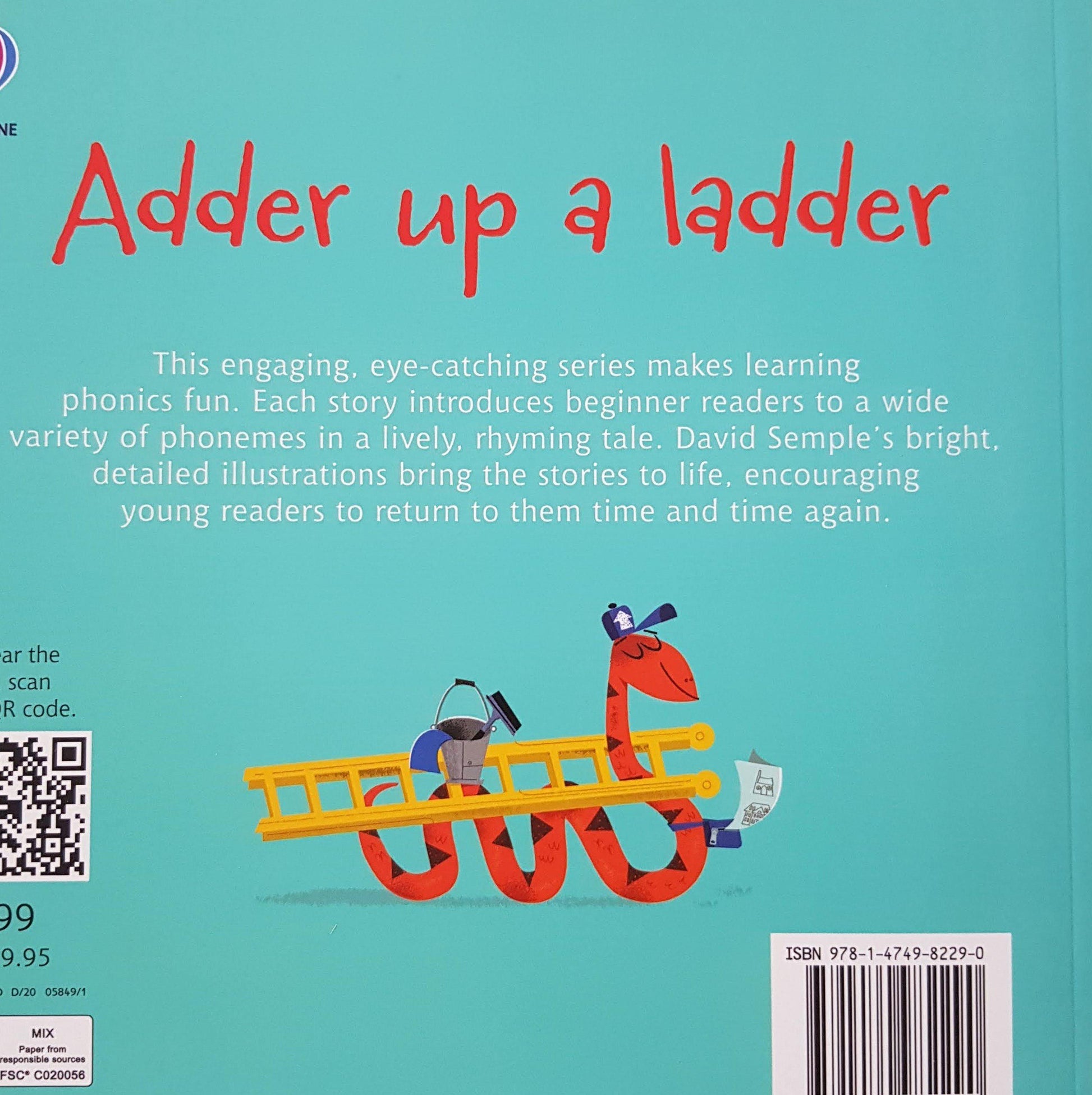 Adder up a Ladder New Usborne  (6299102642361)