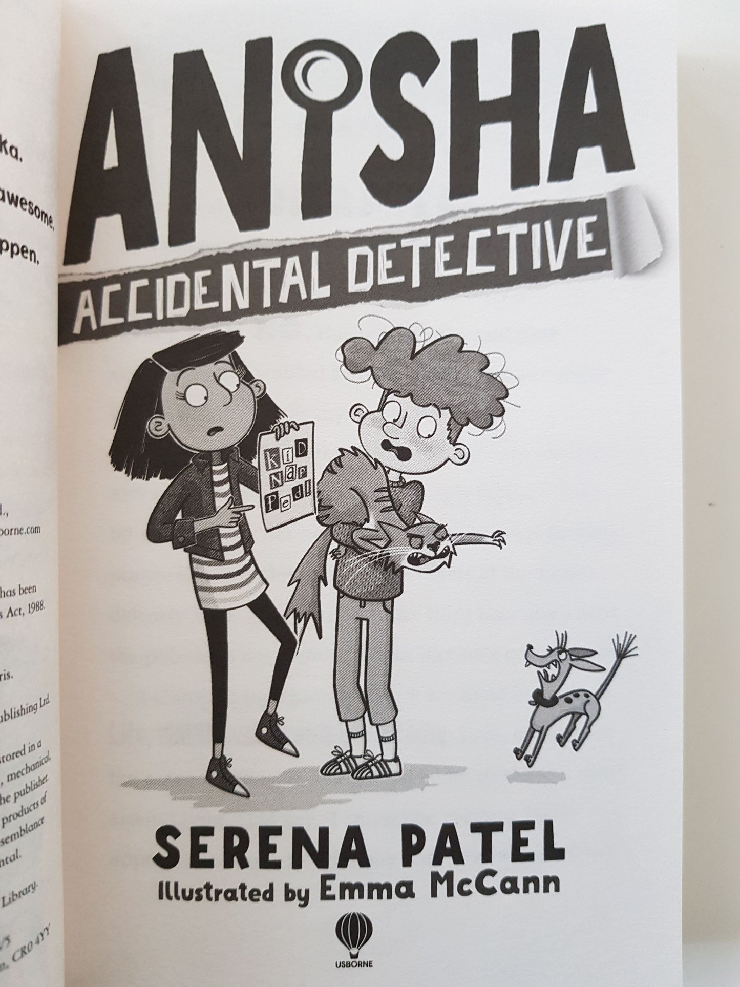 Anisha Accidental Detective New, 7+ Yrs Usborne  (6301232300217)