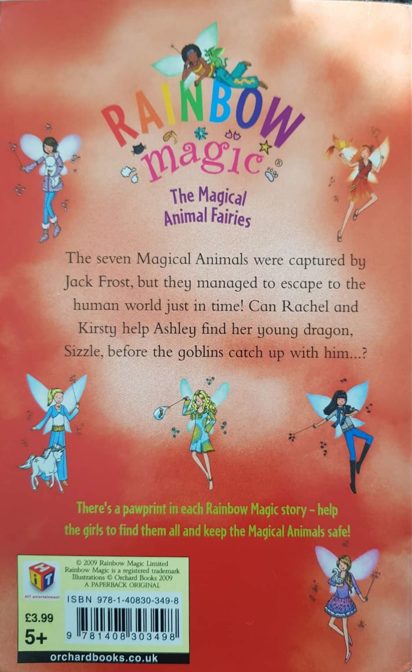 Ashley the Dragon Fairy Like New Rainbow Magic  (6196049117369)