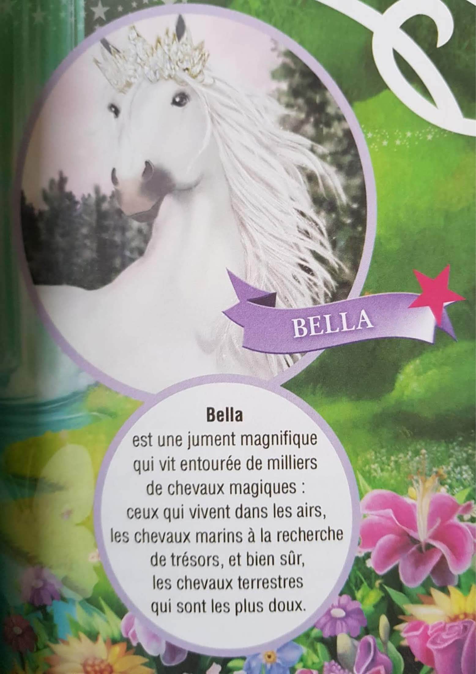 Bella Sara - Le destin d'Emma Like New, 8-10 Yrs Recuddles.ch  (6561546961081)