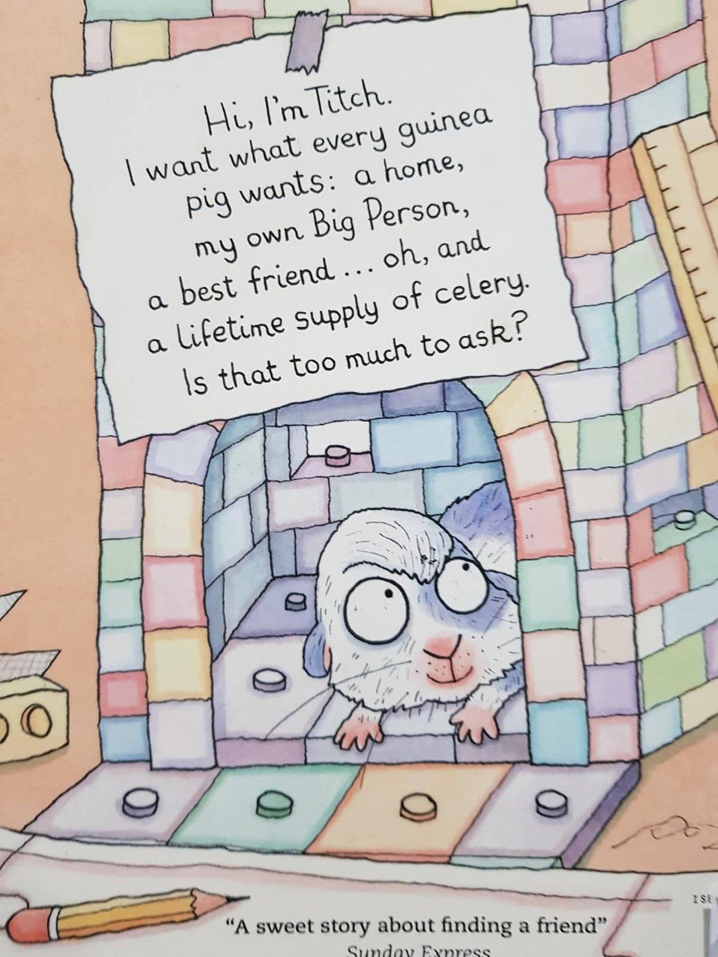 BRUNO and TITCH Like New. 3-7 Yrs Recuddles.ch  (6572956156089)