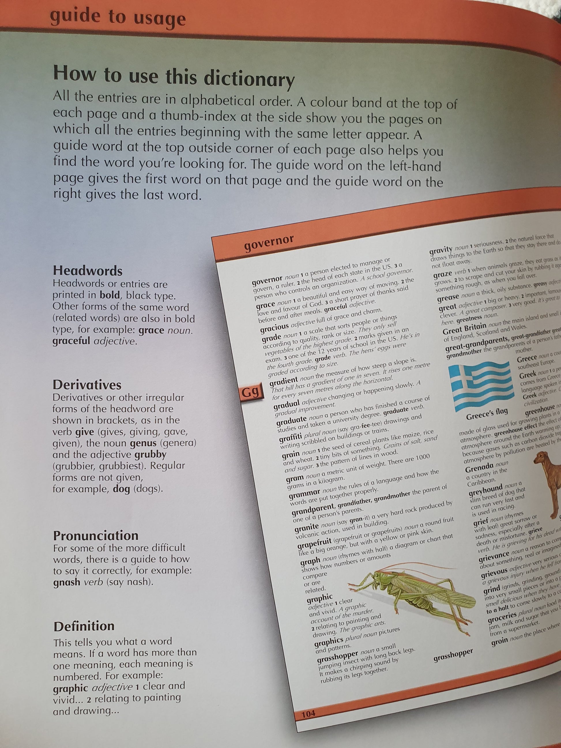 Children's Illustrated Dictionary Like New, +8 NA  (6297366036665)