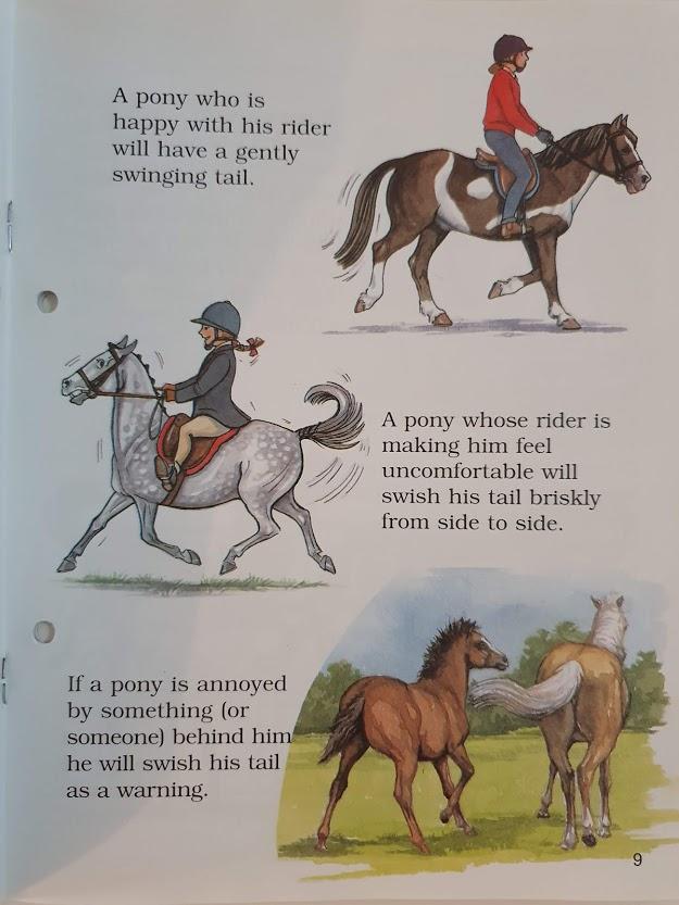 Compass Pony Guides: Top, Tail and Overcoat Like New Recuddles.ch  (6224364208313)