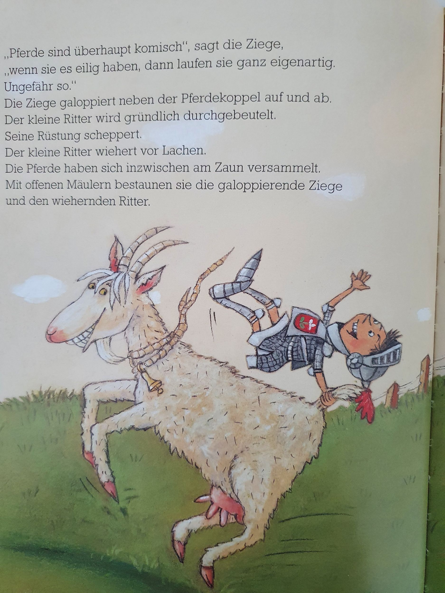 Der Kleine Ritter Like New Not Applicable  (4606867537975)