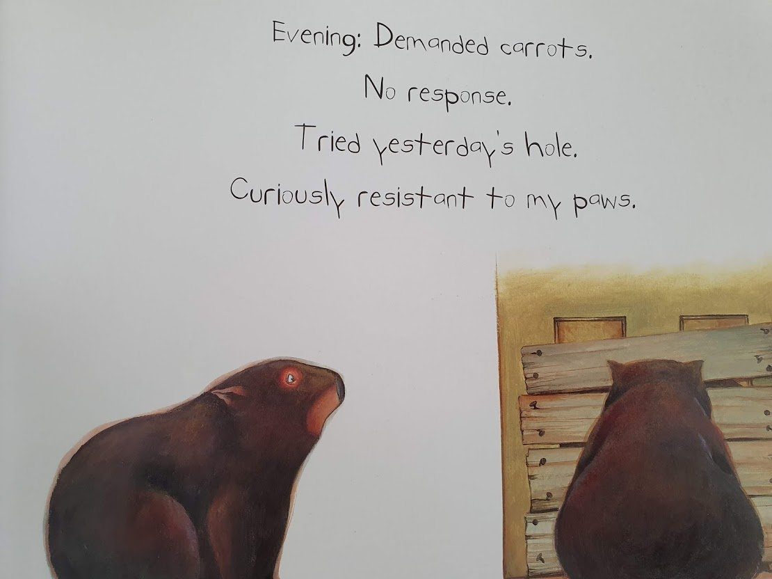 Diary of a Wombat Like New Recuddles.ch  (6123514822841)