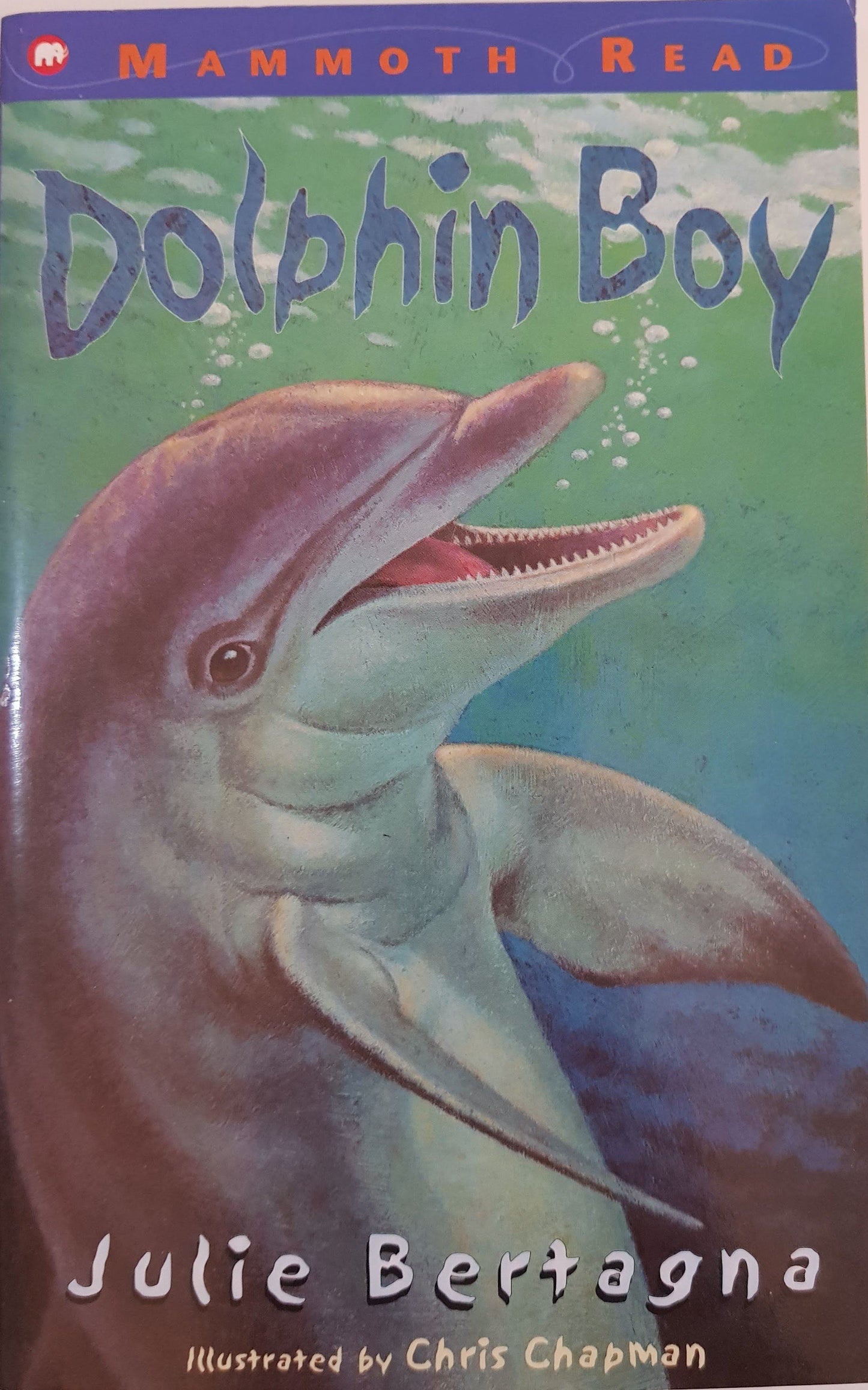 Dolphin Boy Like New Recuddles.ch  (6049525924025)