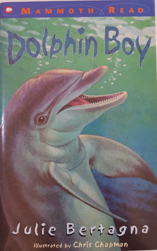 Dolphin Boy Like New Recuddles.ch  (6049525924025)