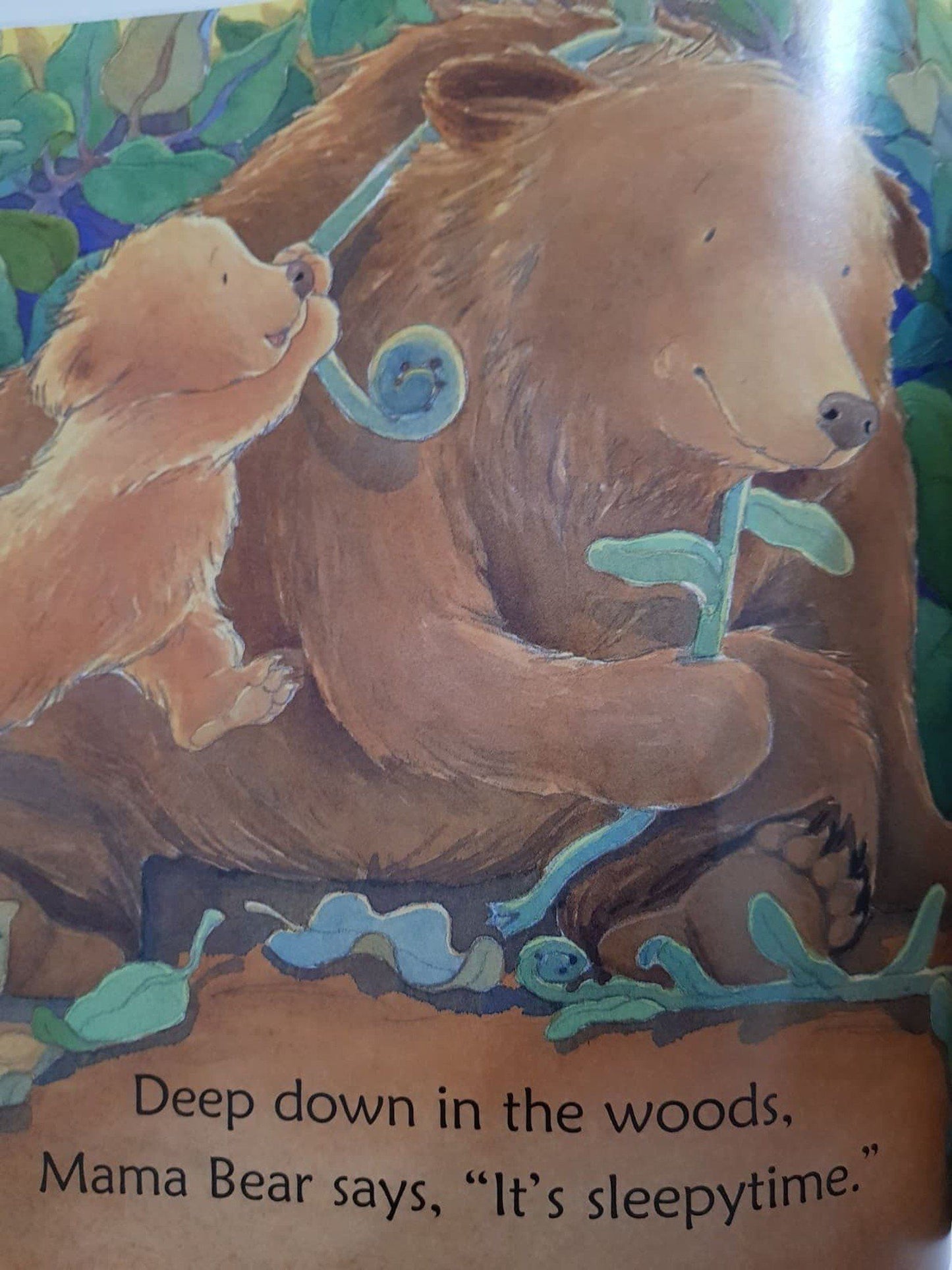 Down in the Woods at Sleepytime Like New, 3-5 Yrs Recuddles.ch  (6706330108089)