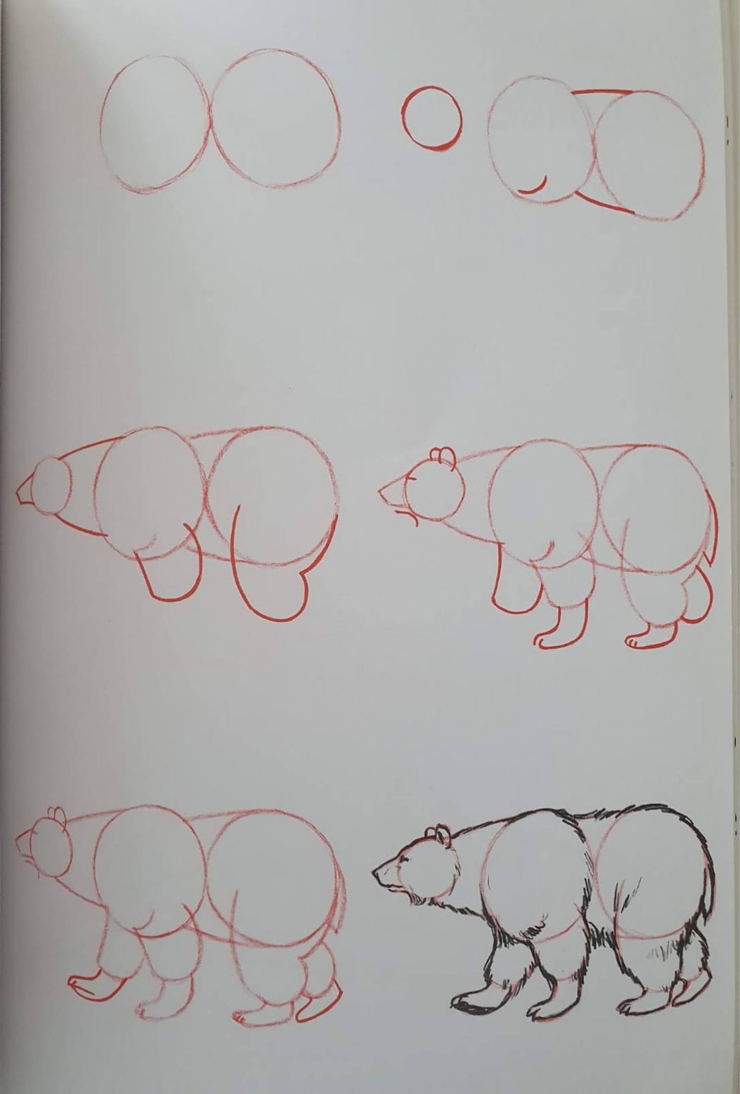 Draw 50 ANIMALS Like New Recuddles.ch  (6322242060473)