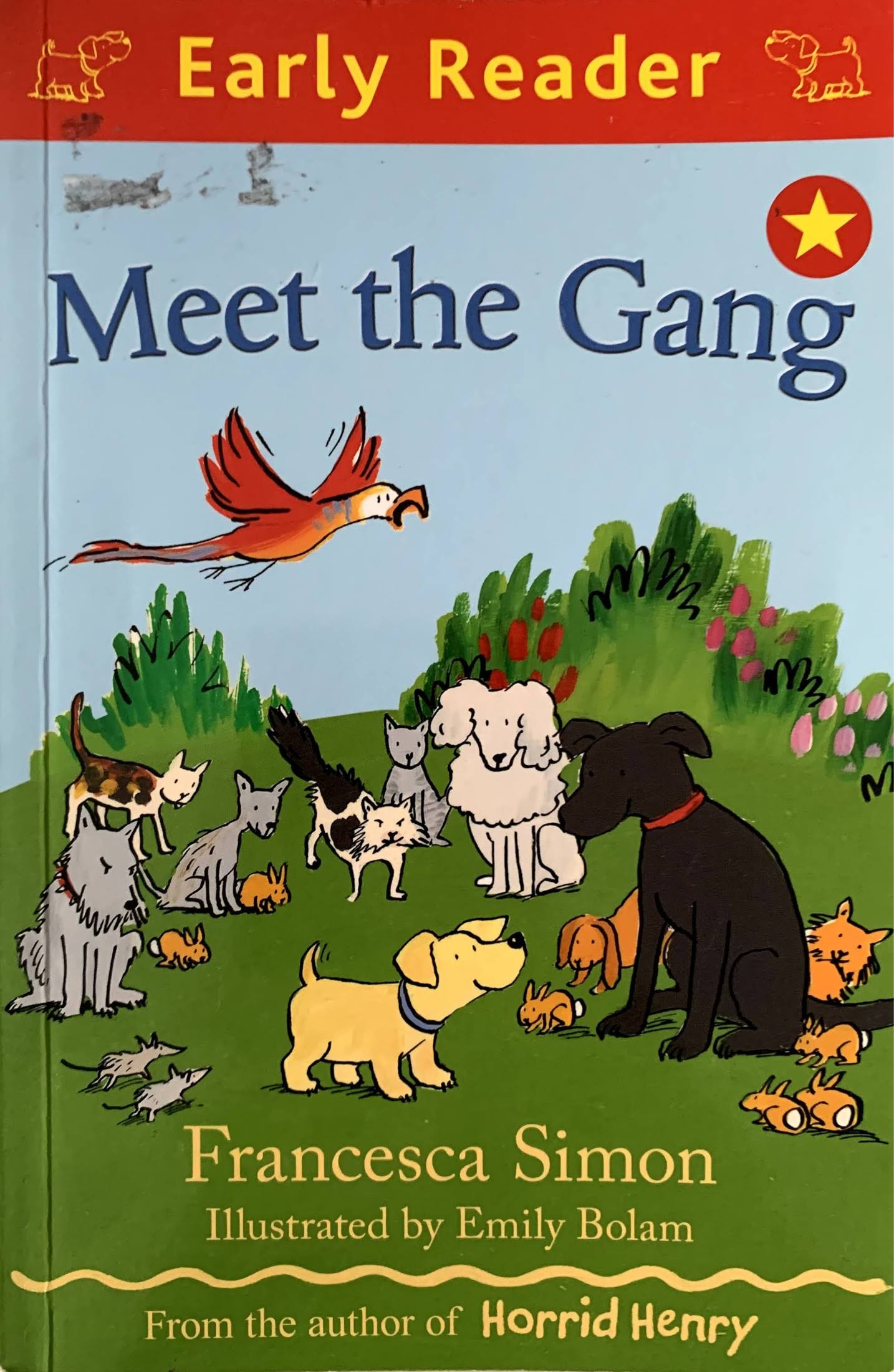 Early Reader - Meet the Gang Like New Recuddles.ch  (6266662256825)