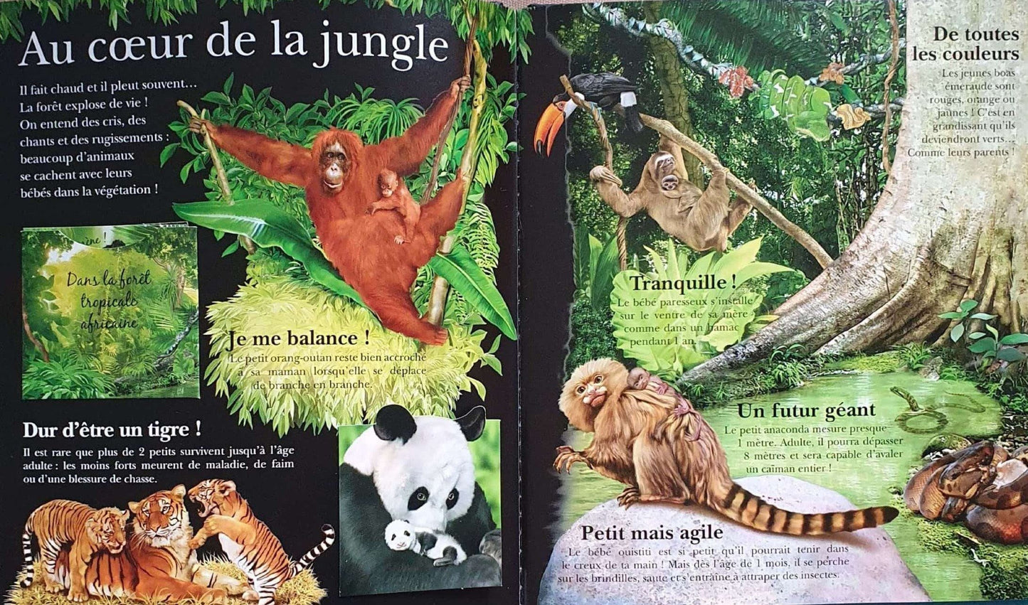 ENCYCLOPEDIE - Les bebes Animaux Like New Not Applicable  (4630312681527)