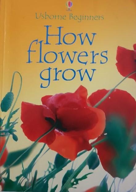 How Flowers Grow Very Good usborne  (6192913776825)