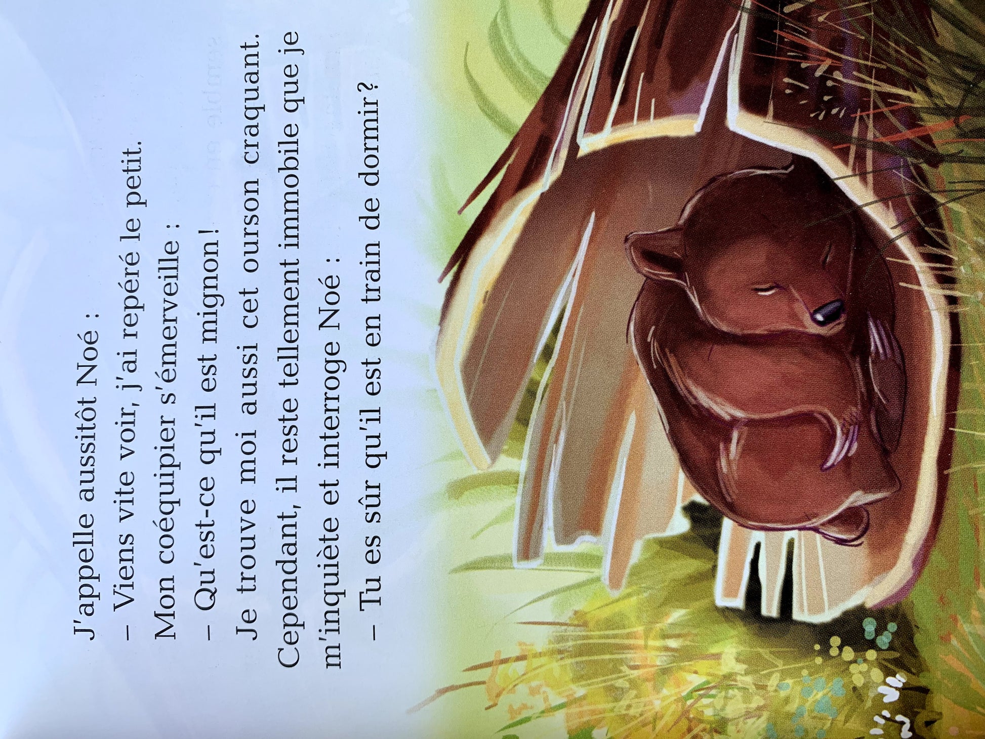 J'aime Lire ours en danger Very Good,+6 years J'Aime Lire  (6960114139321)