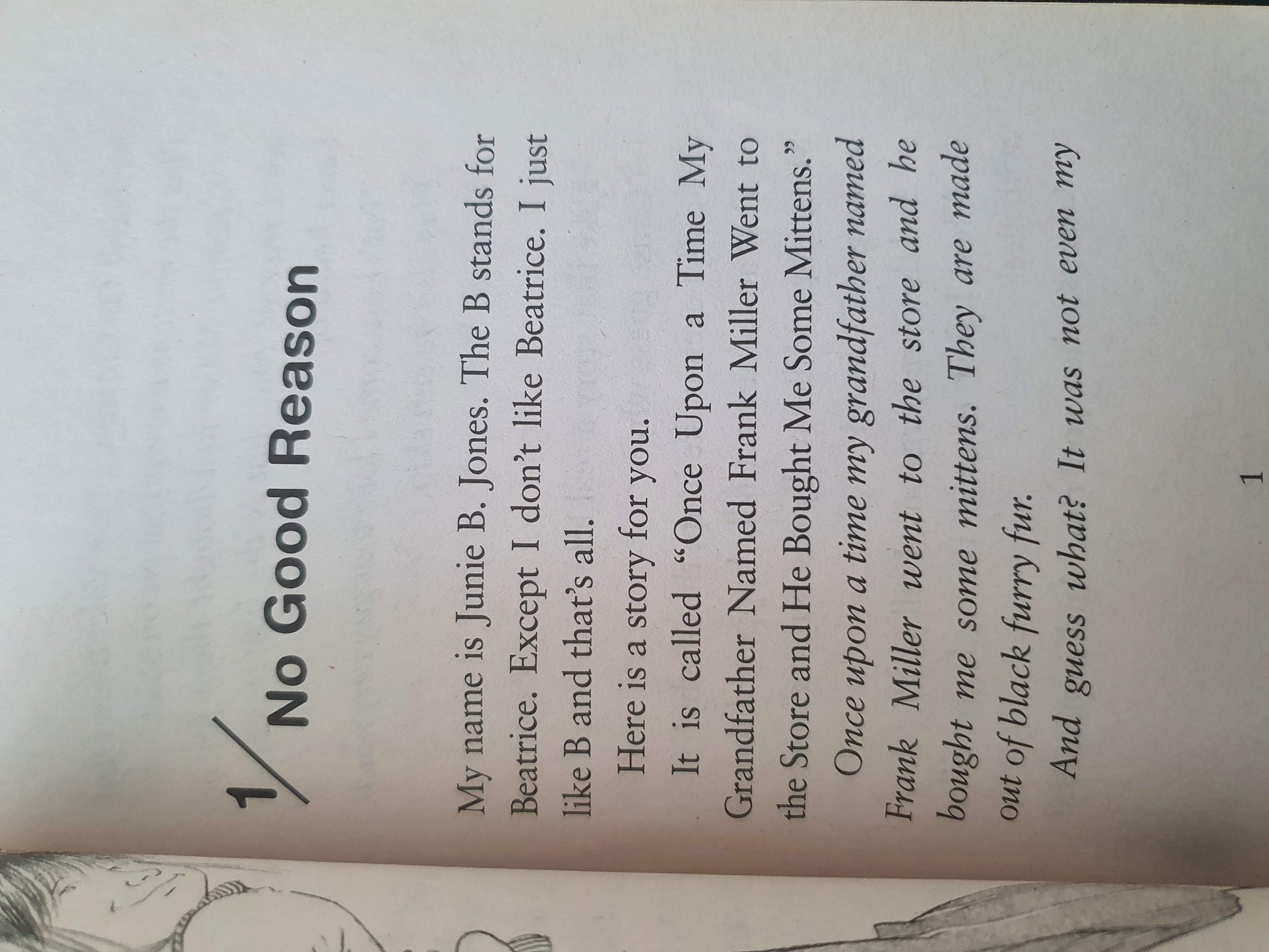 Junie B. Jones is Not a Crook Very Good ,+12 years Recuddles.ch  (6639371321529)