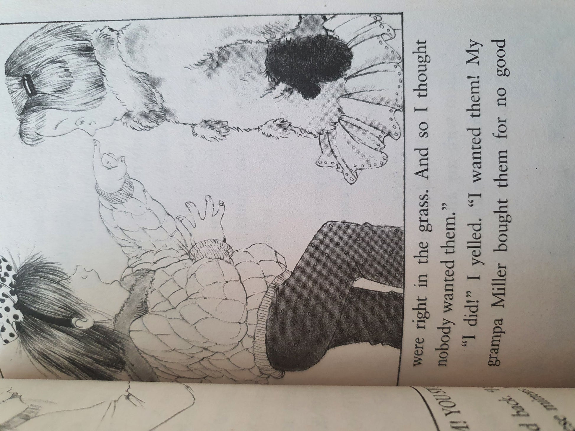 Junie B. Jones is Not a Crook Very Good ,+12 years Recuddles.ch  (6639371321529)