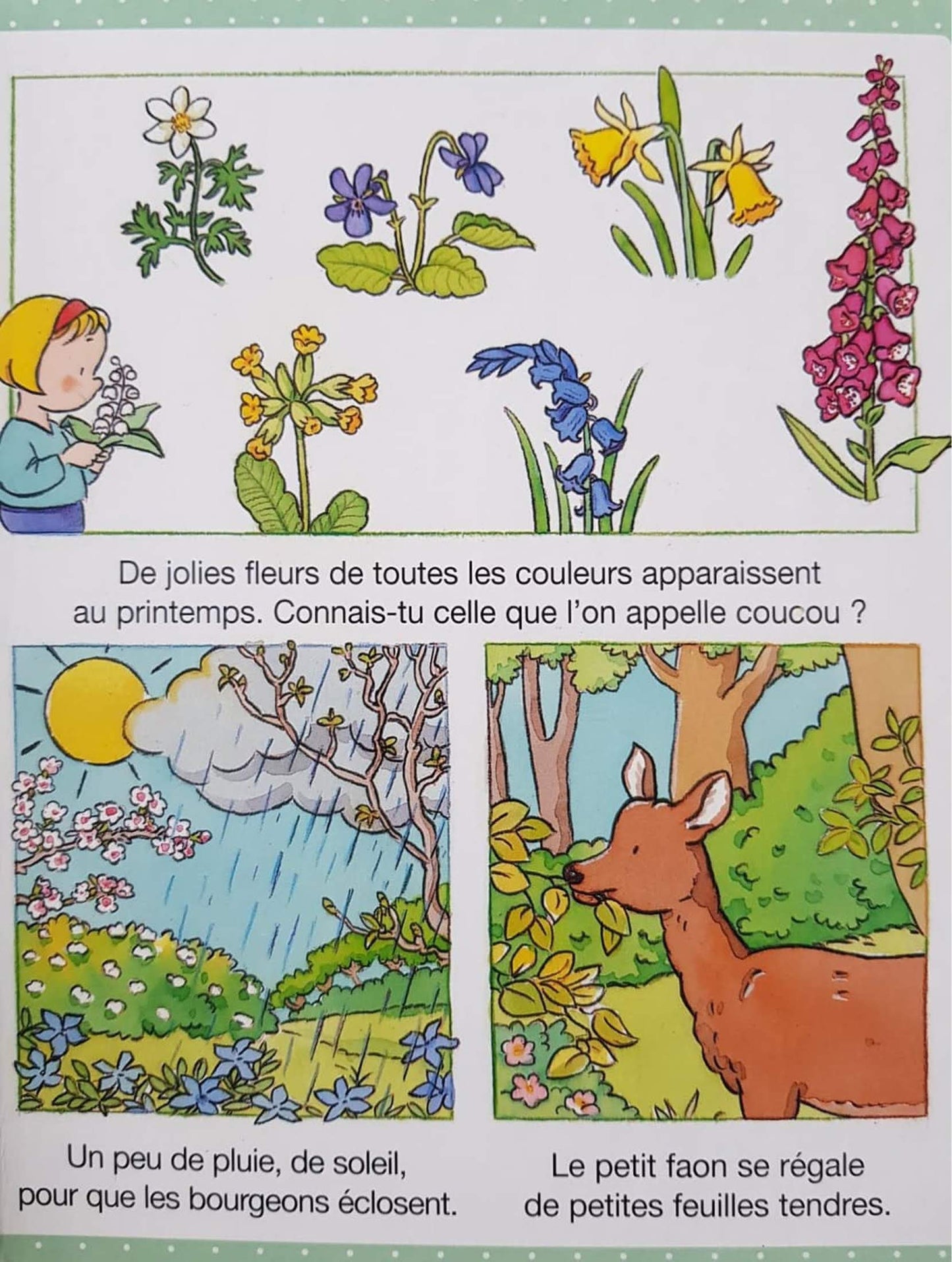 La Forêt Like New Recuddles.ch  (6243837837497)