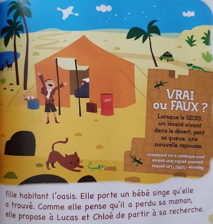 La Piste du Désert Like New Recuddles.ch  (6265038241977)