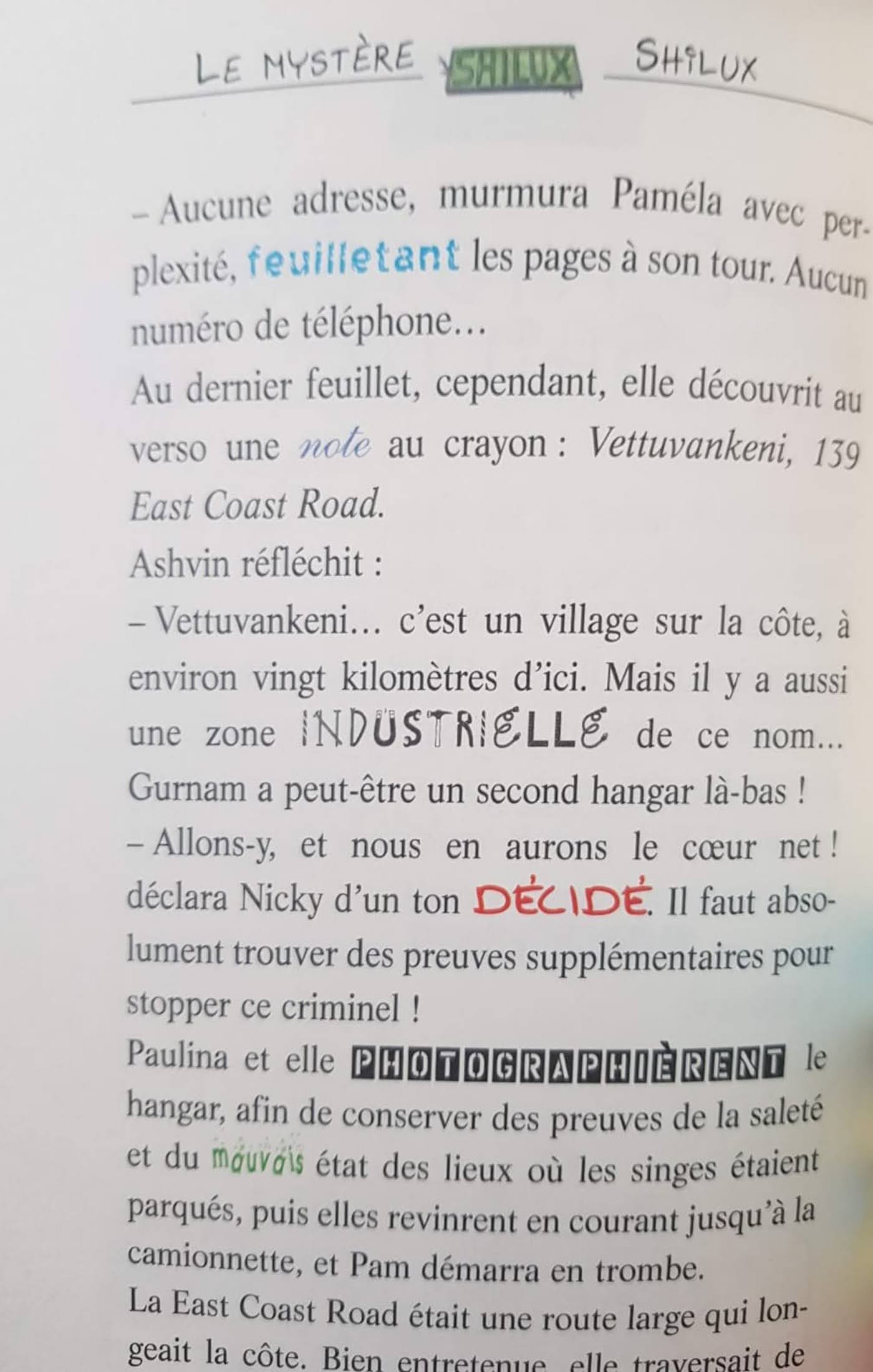 L'émeraude Du Prince Indien Like New Tea Stilton  (6239011078329)