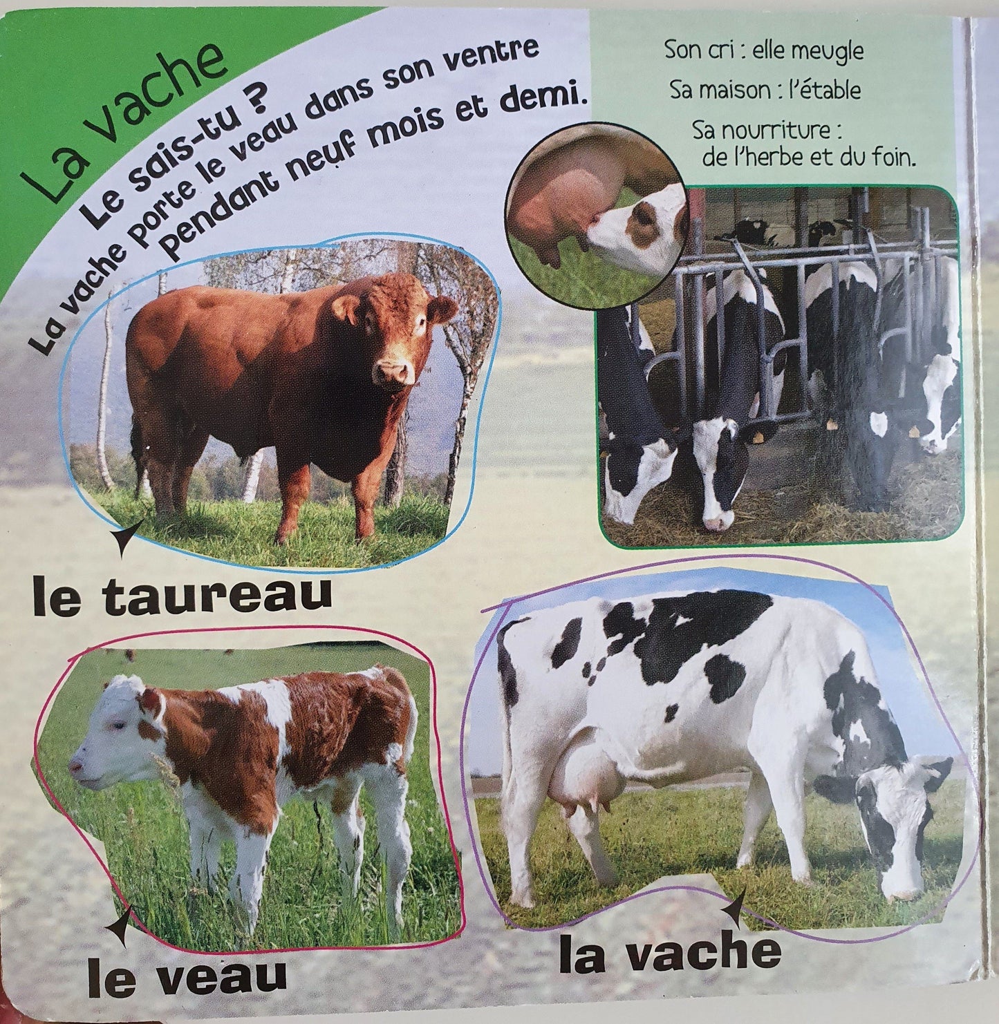 Les animaux de la ferme Well Read Recuddles.ch  (6050246099129)