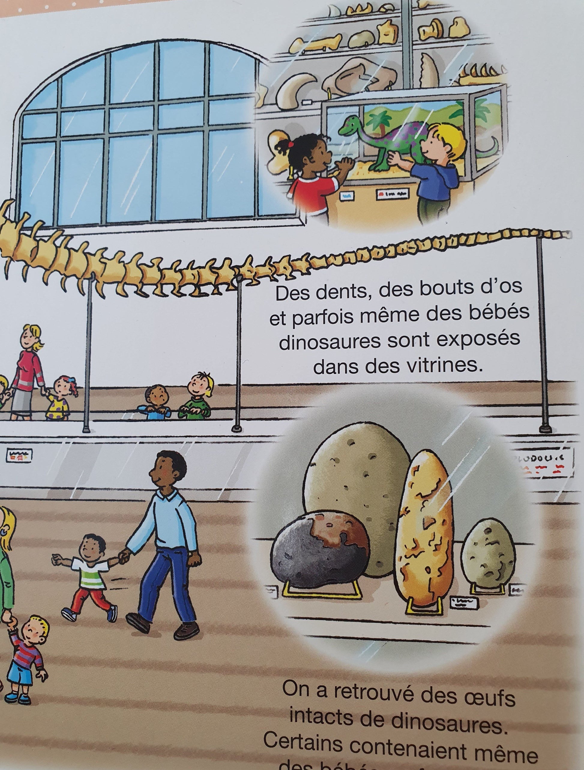 L'imagerie des tout-petits Les dinosaure Very Good, 3-6 yrs Recuddles.ch  (6688597573817)