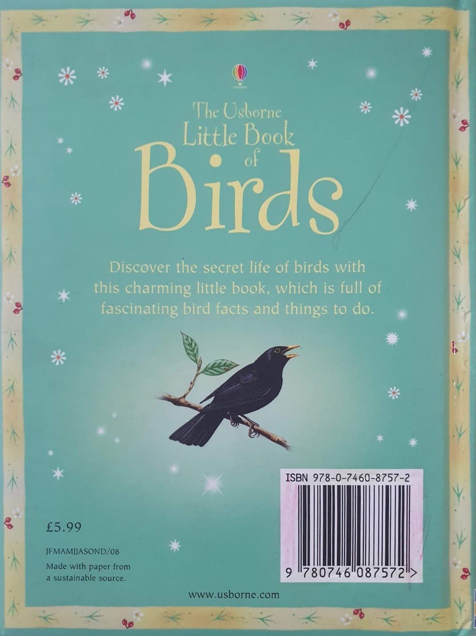 Little Book of BIRDS Like New Usborne  (6310607126713)
