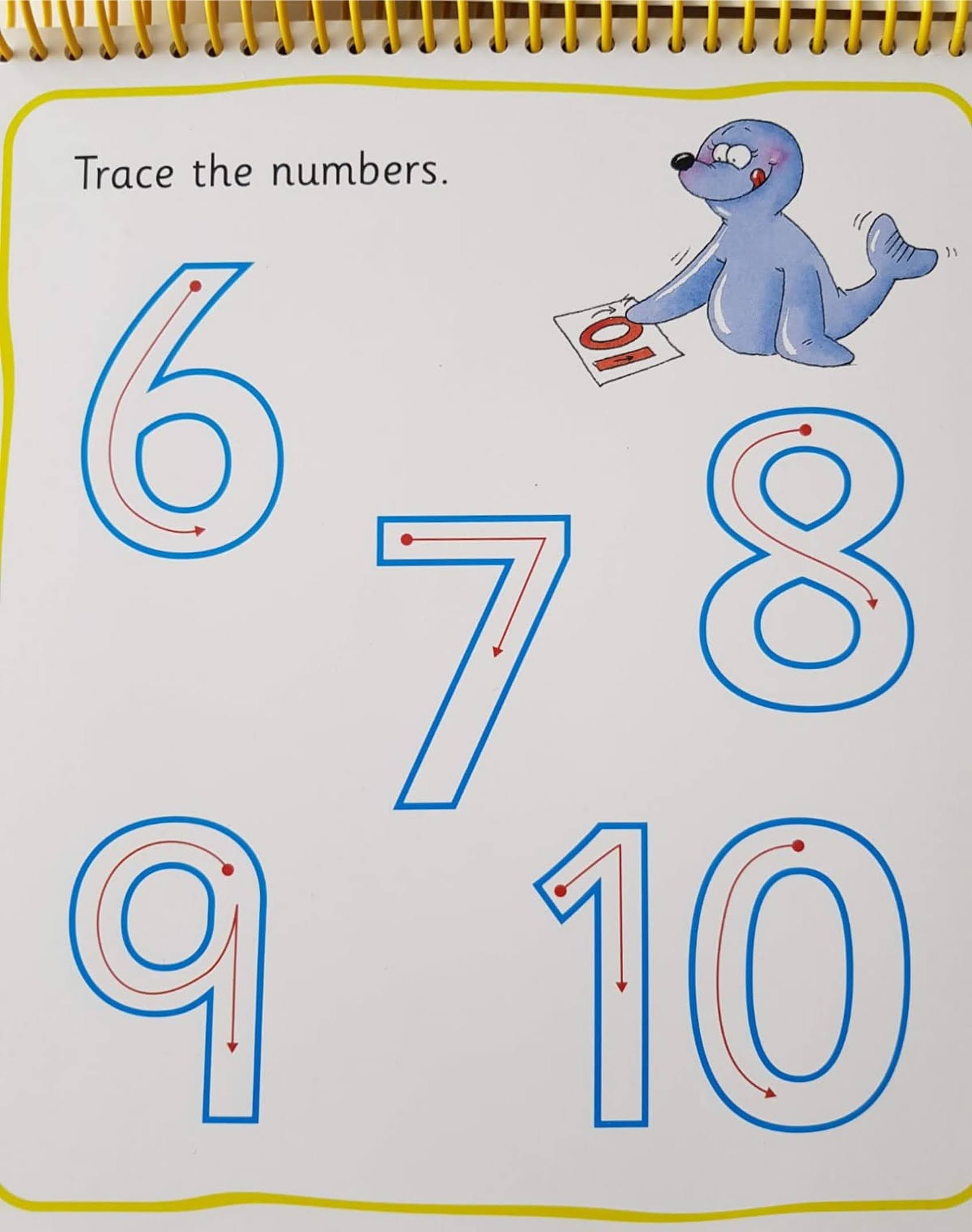 Little Flipper - NUMBERS Very Good Recuddles.ch  (6243838099641)
