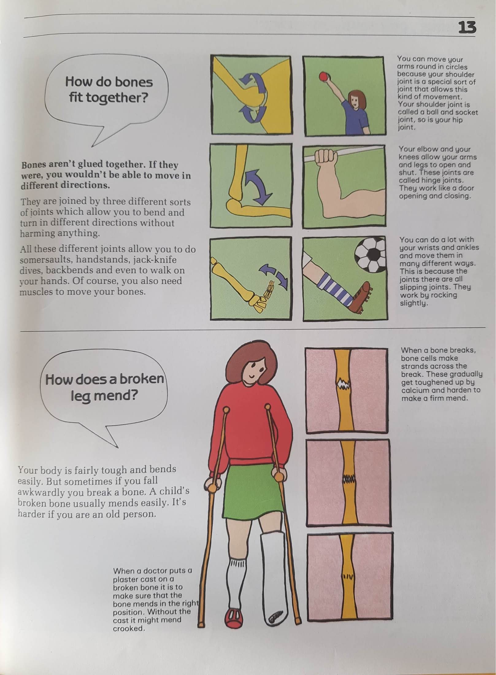 Marvellous Me - All About The Human Body Like New Recuddles.ch  (6235426619577)