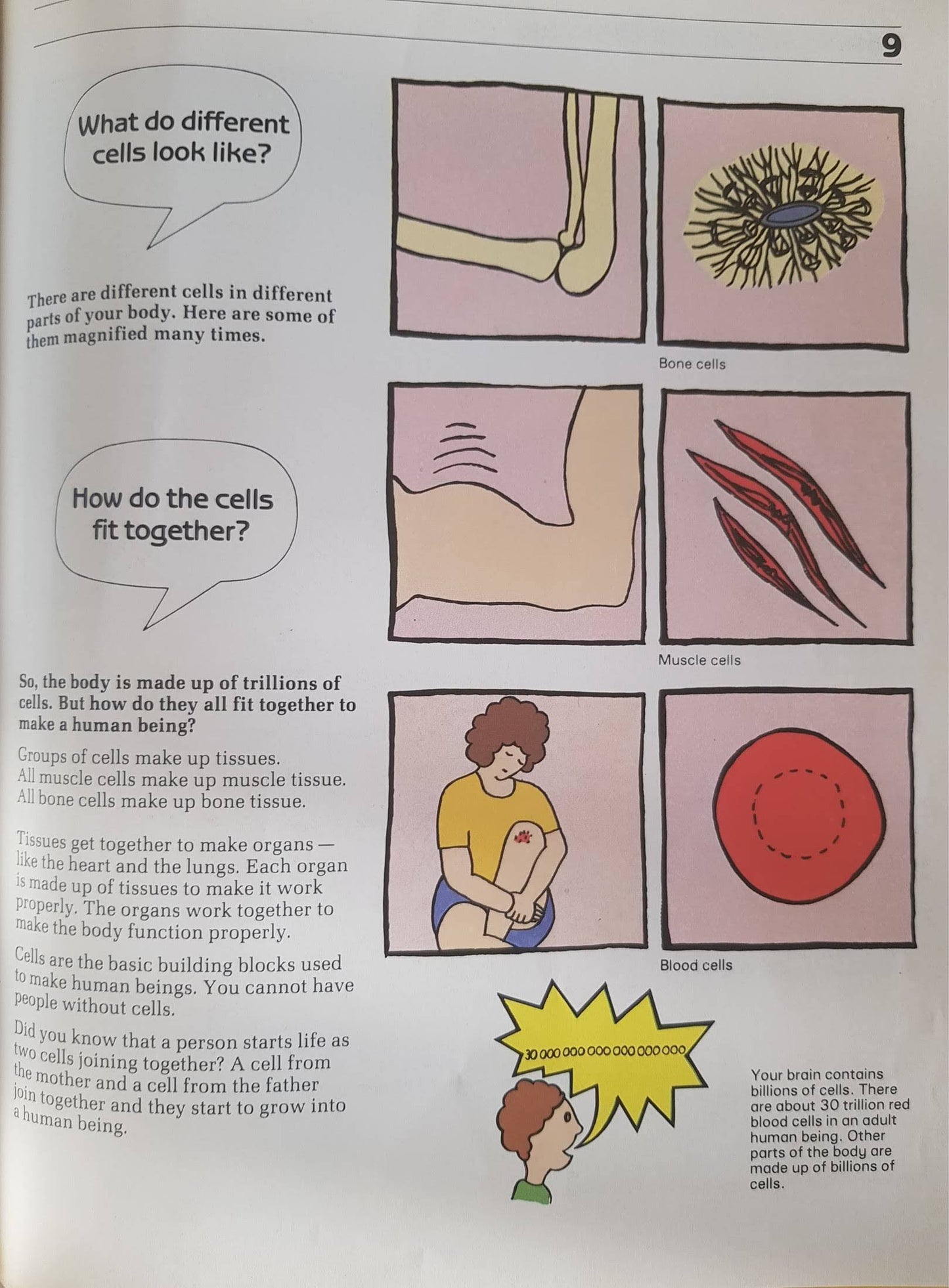 Marvellous Me - All About The Human Body Like New Recuddles.ch  (6235426619577)