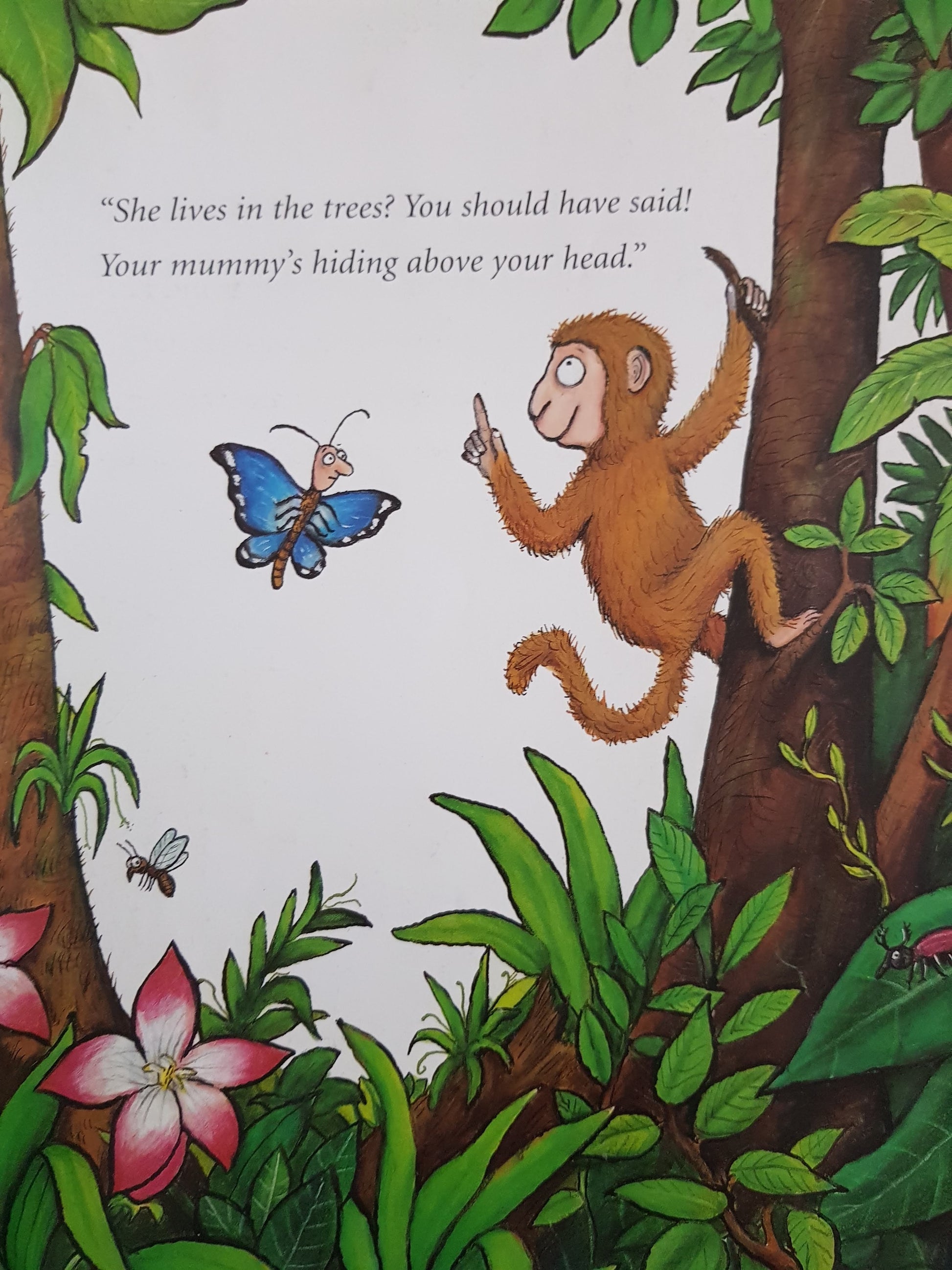 Monkey Puzzle Like New Julia Donaldson  (6172560949433)
