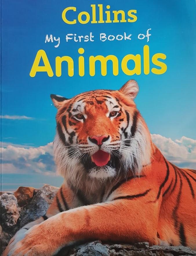 My First Book of Animals Like New, 6+Yrs Recuddles.ch  (6550917578937)