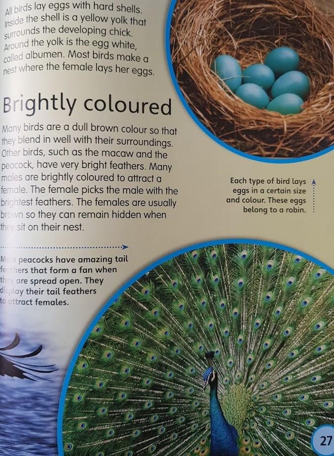 My First Book of Animals Like New, 6+Yrs Recuddles.ch  (6550917578937)