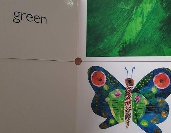 My Very First Book of Colours Like New, 0+Yrs Recuddles.ch  (6550916792505)