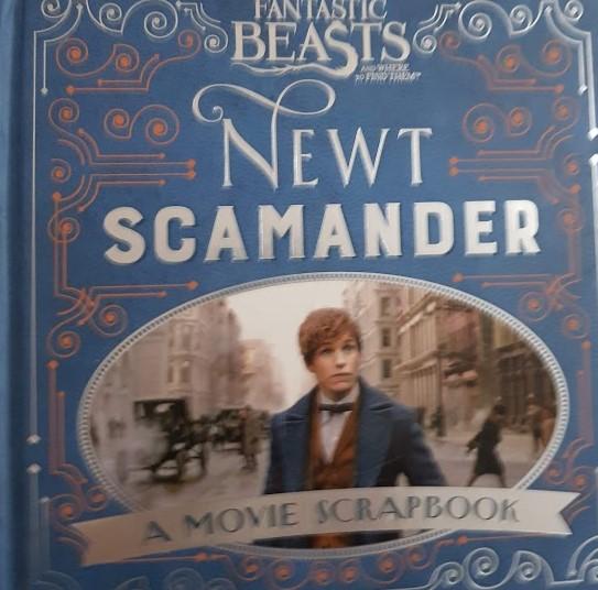 Newt Scamander Like New Recuddles.ch  (6192913907897)