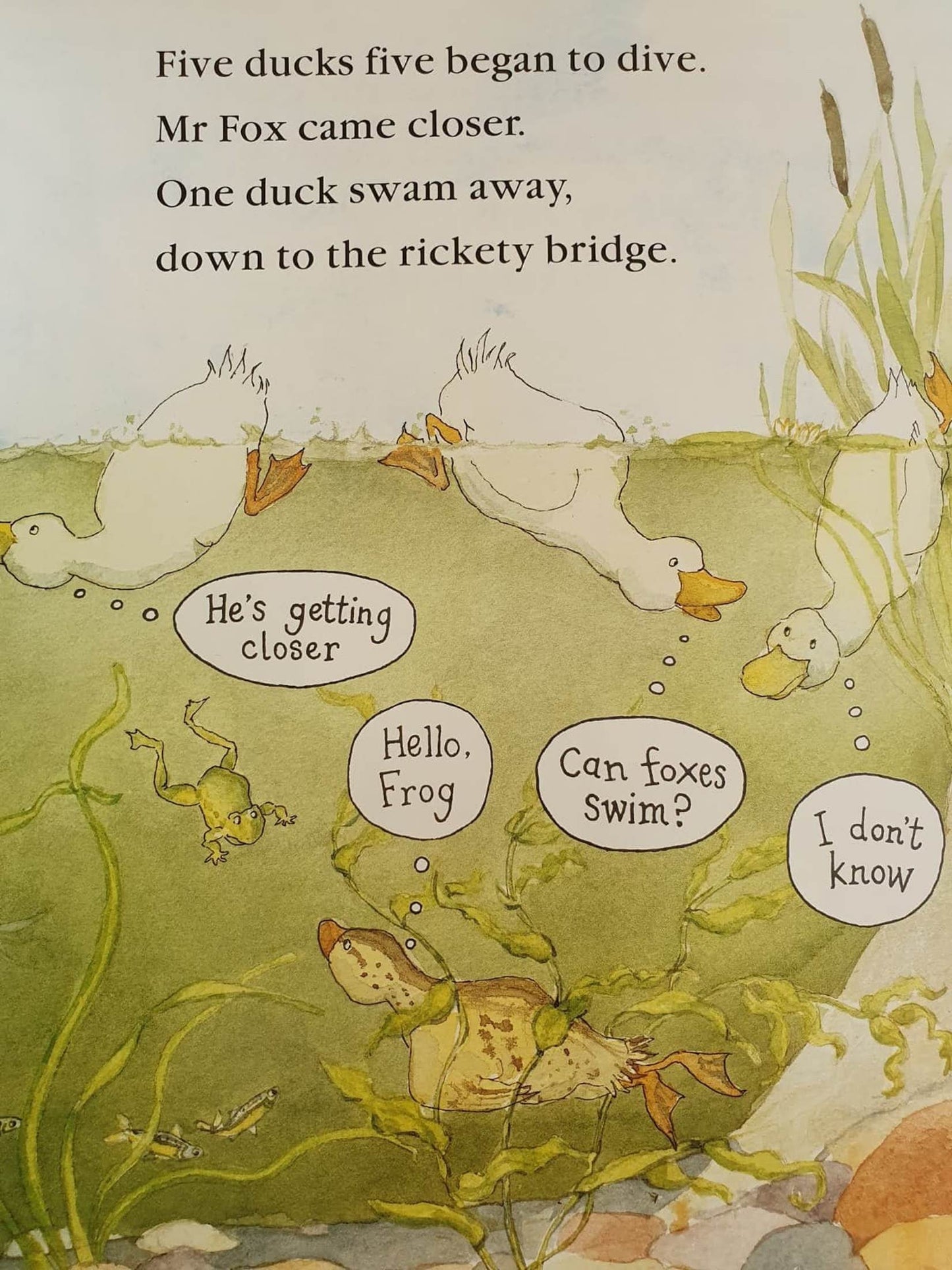 Nine Ducks Nine Like New Recuddles.ch  (6235427012793)