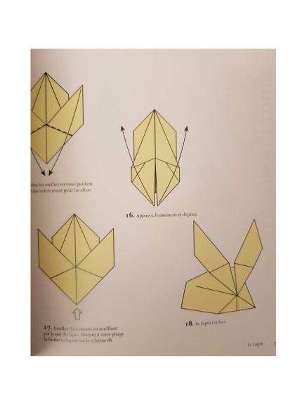 origami Chinois Like New Flammarion  (4622919925815)