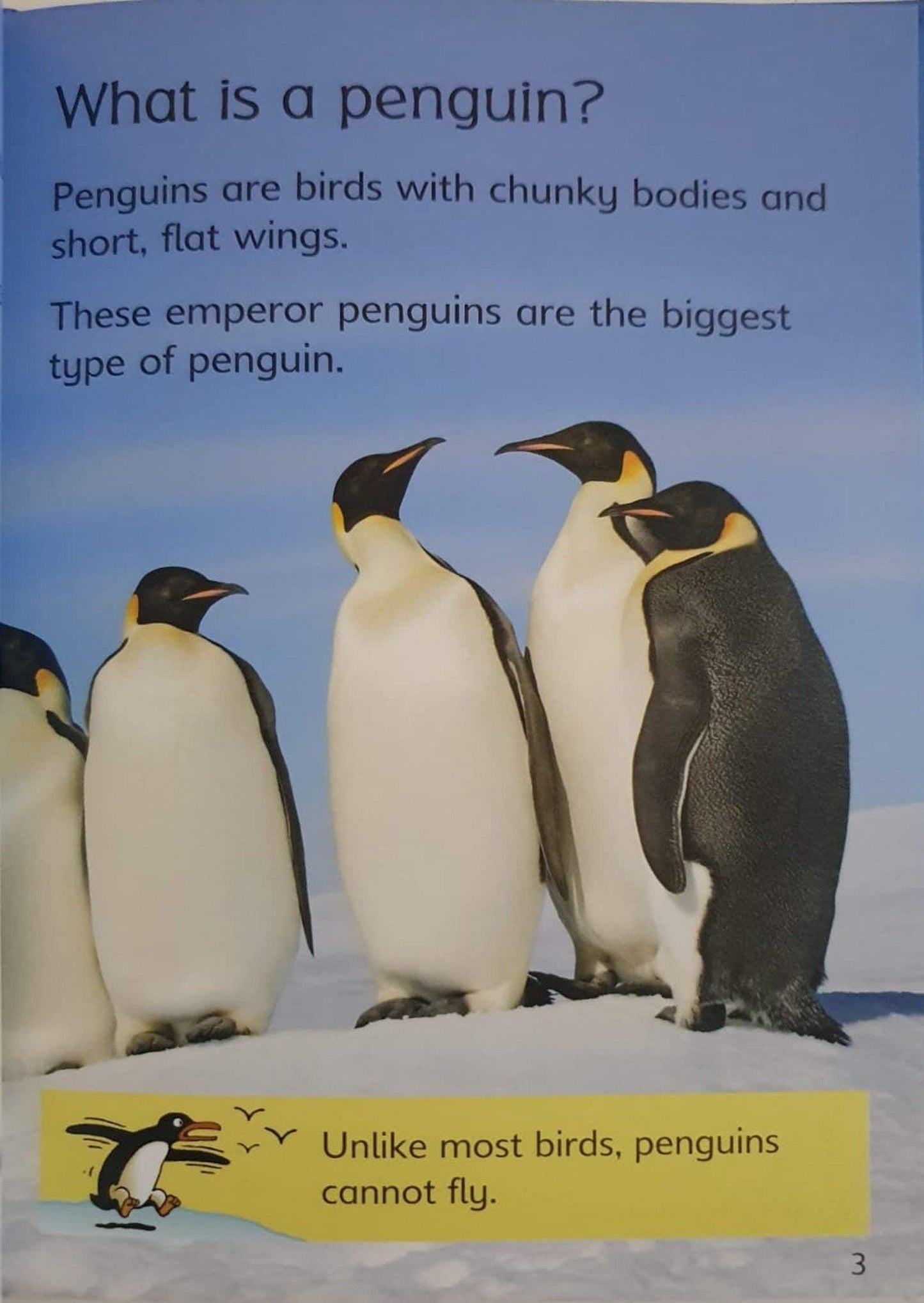 Penguins Like New Usborne  (6176346734777)