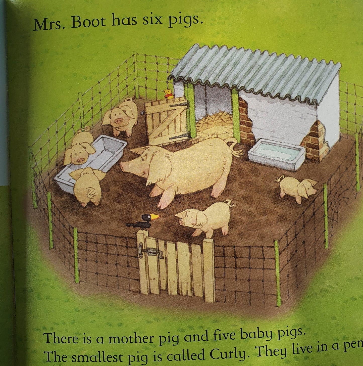 Pig Gets Lost Like New Usborne  (6207111102649)