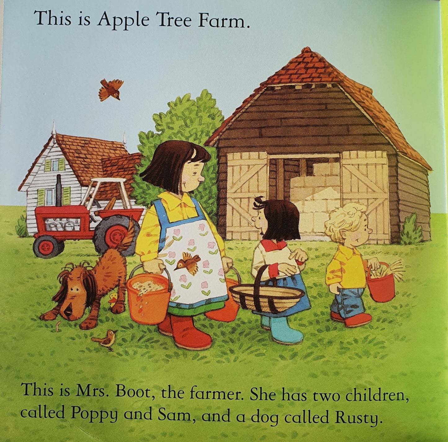 Pig Gets Lost Like New Usborne  (6207111102649)