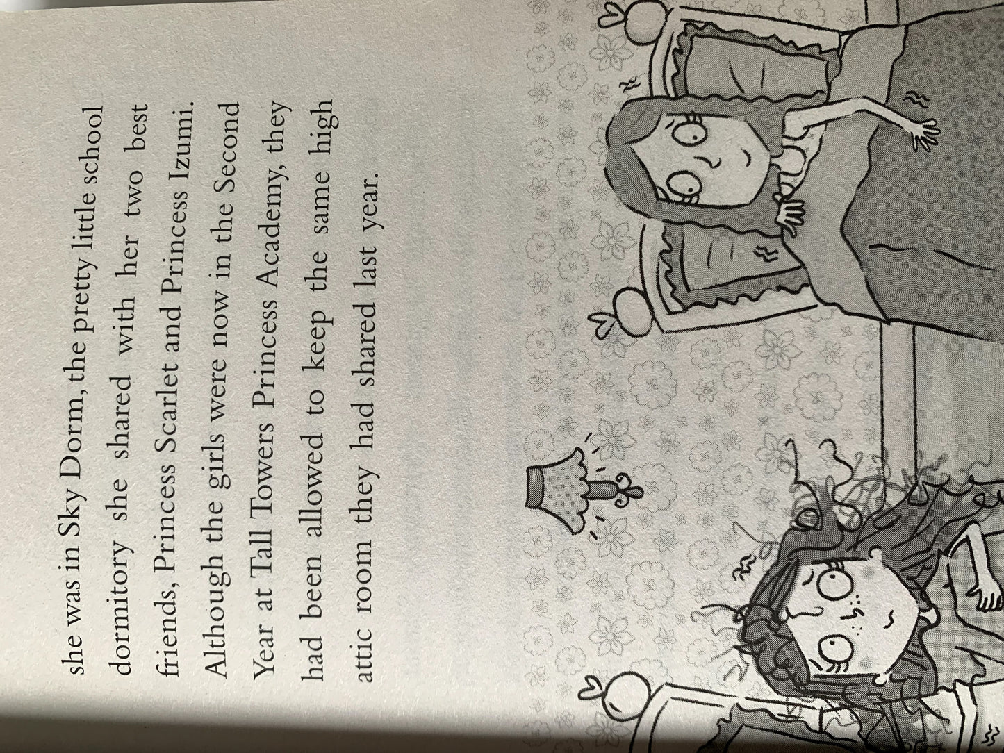 Princess dis grace : 2 book set Very Good, 7+ year Princess dis grace  (7043339878585)