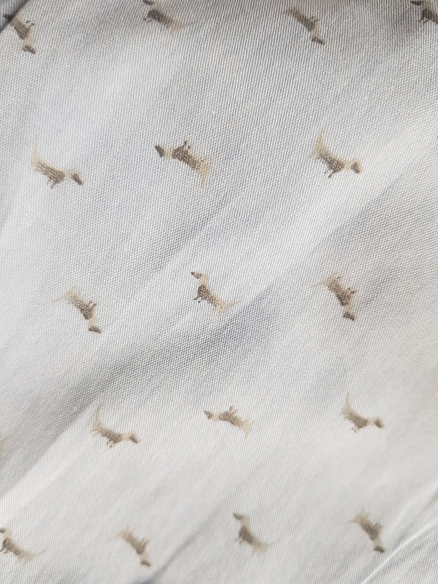 Printed Slim Fit Shirt Like New,8 yrs Kid's Company  (6615491051705)