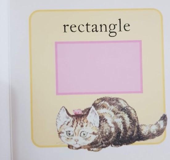 Shapes With Peter Rabbit Like New Recuddles.ch  (6216142192825)